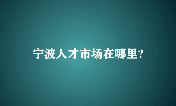 宁波人才市场在哪里?