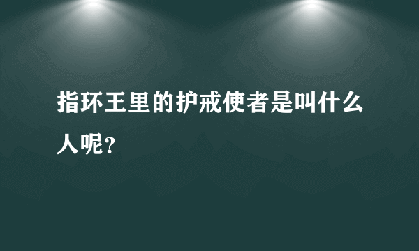 指环王里的护戒使者是叫什么人呢？