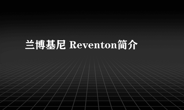 兰博基尼 Reventon简介