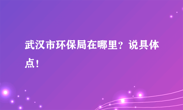 武汉市环保局在哪里？说具体点！