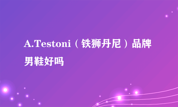 A.Testoni（铁狮丹尼）品牌男鞋好吗