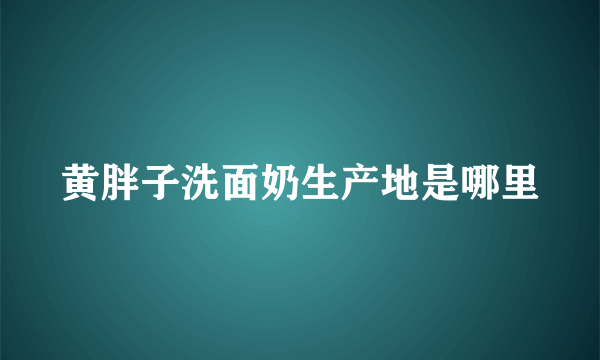 黄胖子洗面奶生产地是哪里