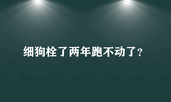 细狗栓了两年跑不动了？