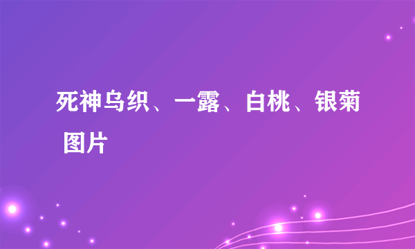 死神乌织、一露、白桃、银菊 图片