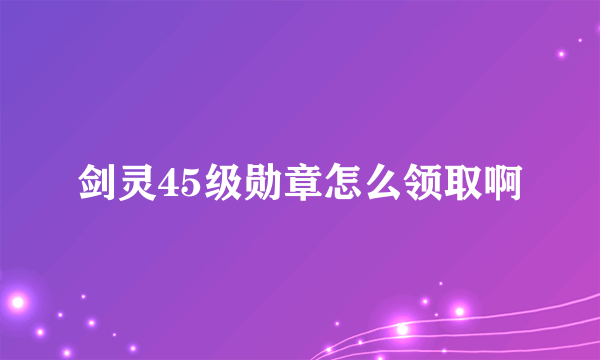 剑灵45级勋章怎么领取啊