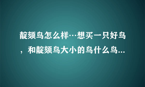 靛颏鸟怎么样…想买一只好鸟，和靛颏鸟大小的鸟什么鸟比较好啊…