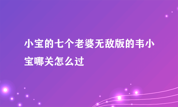 小宝的七个老婆无敌版的韦小宝哪关怎么过