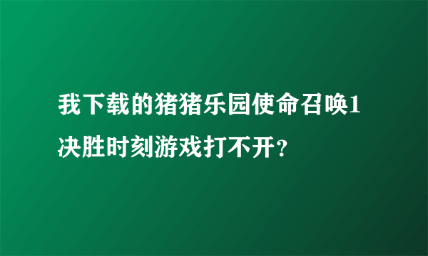 我下载的猪猪乐园使命召唤1决胜时刻游戏打不开？