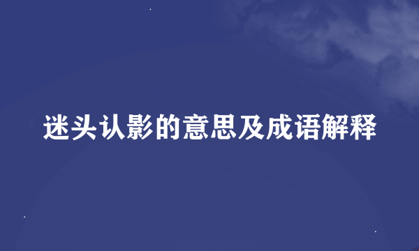 迷头认影的意思及成语解释