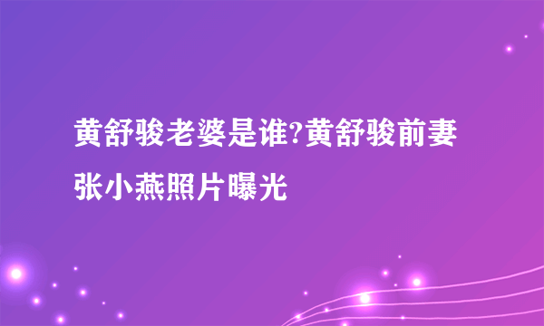 黄舒骏老婆是谁?黄舒骏前妻张小燕照片曝光