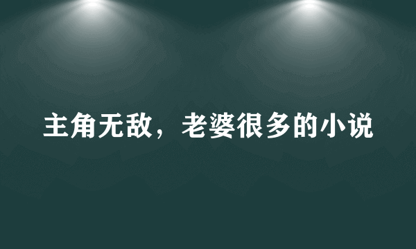 主角无敌，老婆很多的小说