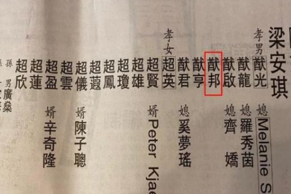 赌王神秘儿子何猷邦，28岁连遗产都不争，生母真的是四太？