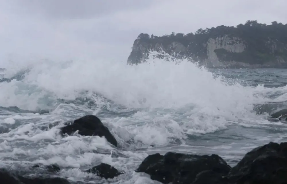 浙江三地已宣布停课一天，台风天气对教育行业的影响有哪些？