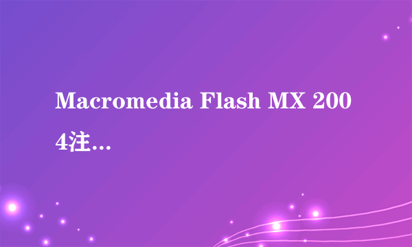 Macromedia Flash MX 2004注册码！！！