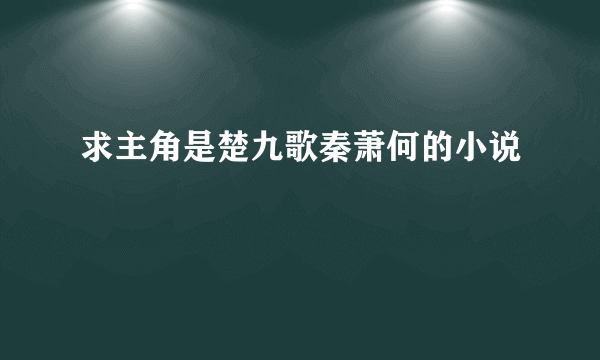 求主角是楚九歌秦萧何的小说