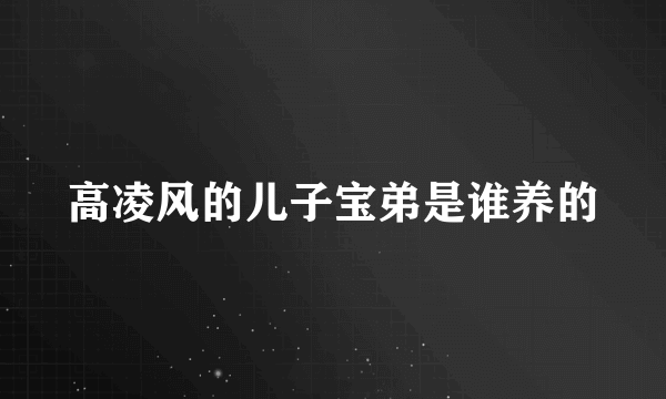 高凌风的儿子宝弟是谁养的