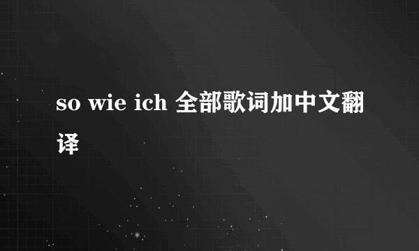 so wie ich 全部歌词加中文翻译