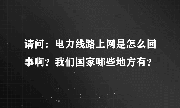 请问：电力线路上网是怎么回事啊？我们国家哪些地方有？