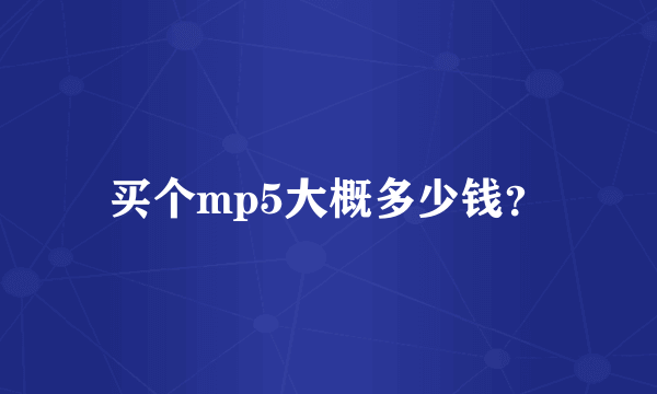 买个mp5大概多少钱？