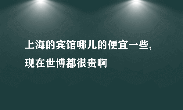 上海的宾馆哪儿的便宜一些,现在世博都很贵啊