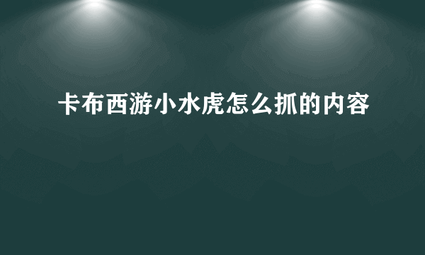 卡布西游小水虎怎么抓的内容