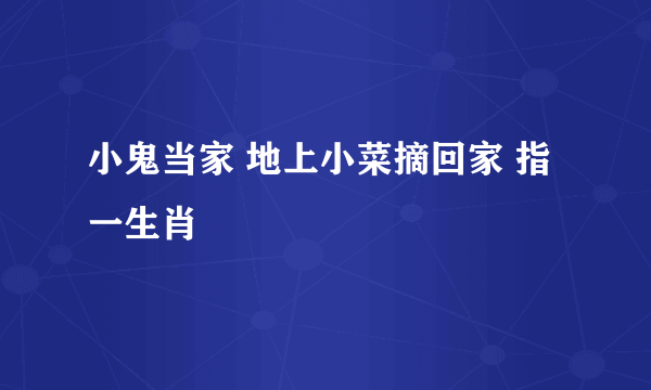 小鬼当家 地上小菜摘回家 指一生肖