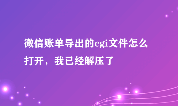 微信账单导出的cgi文件怎么打开，我已经解压了