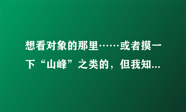 想看对象的那里……或者摸一下“山峰”之类的，但我知道她绝对不会允许，我该怎么办？