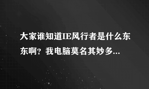 大家谁知道IE风行者是什么东东啊？我电脑莫名其妙多了一个插件