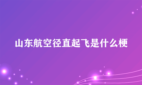 山东航空径直起飞是什么梗