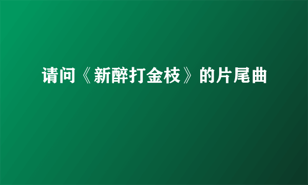 请问《新醉打金枝》的片尾曲