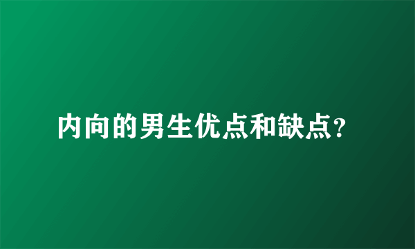 内向的男生优点和缺点？