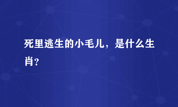 死里逃生的小毛儿，是什么生肖？