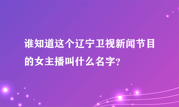 谁知道这个辽宁卫视新闻节目的女主播叫什么名字？