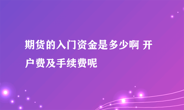 期货的入门资金是多少啊 开户费及手续费呢