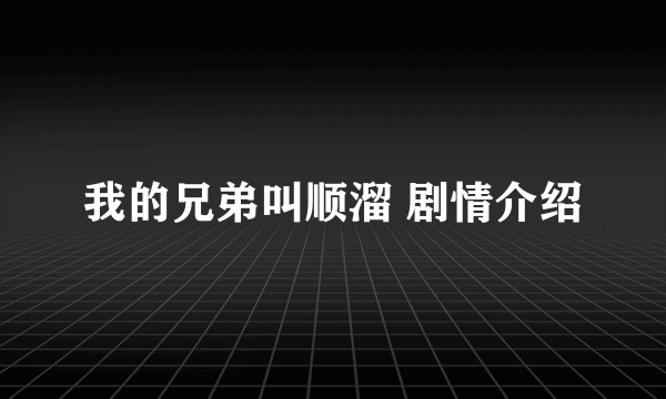 我的兄弟叫顺溜 剧情介绍