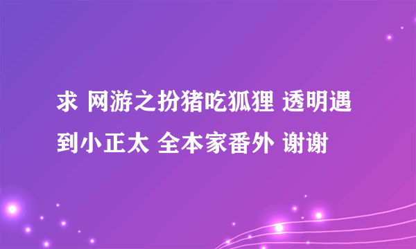 求 网游之扮猪吃狐狸 透明遇到小正太 全本家番外 谢谢