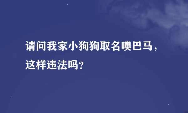 请问我家小狗狗取名噢巴马，这样违法吗？