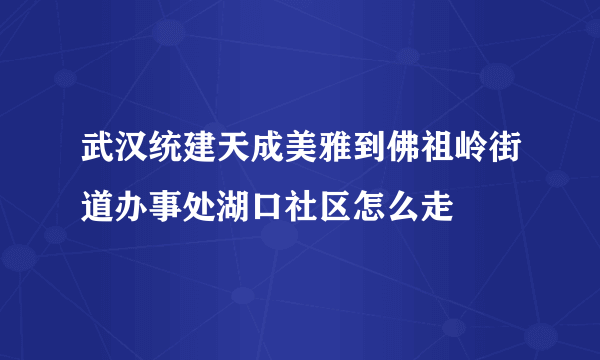 武汉统建天成美雅到佛祖岭街道办事处湖口社区怎么走