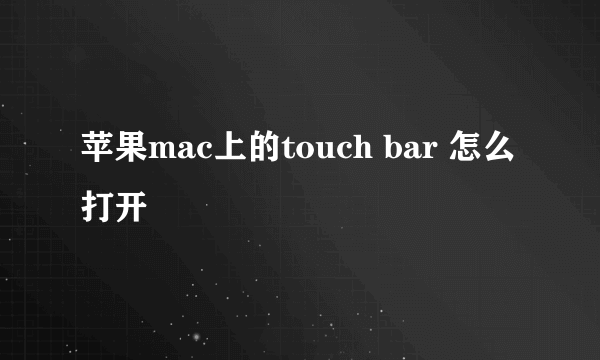 苹果mac上的touch bar 怎么打开