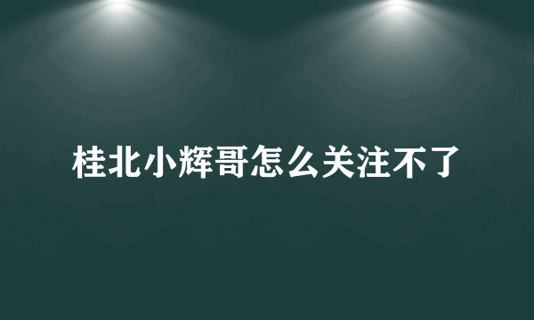 桂北小辉哥怎么关注不了