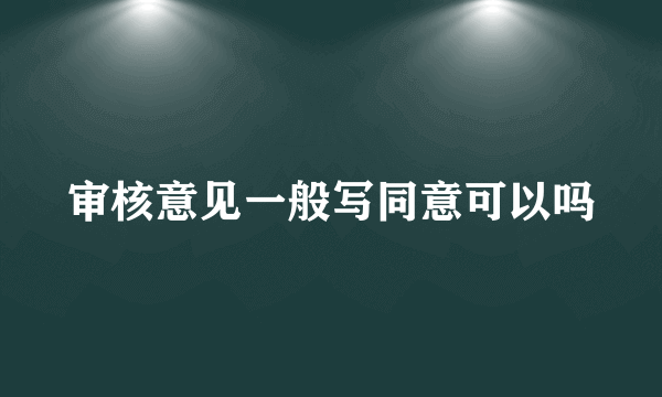 审核意见一般写同意可以吗