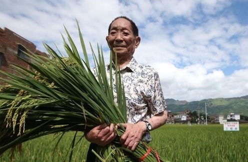 长沙市全城送别袁隆平，长沙人民和袁老的感情有多么深厚？