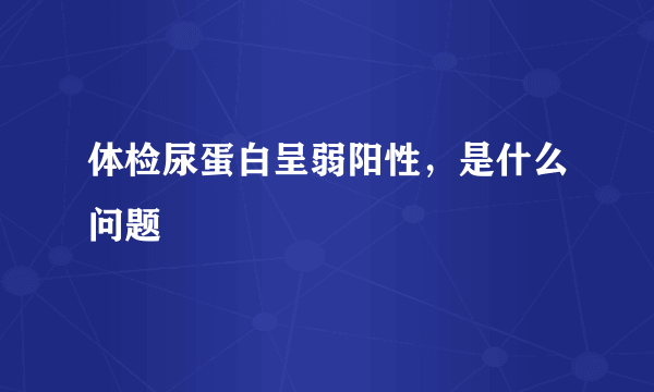 体检尿蛋白呈弱阳性，是什么问题