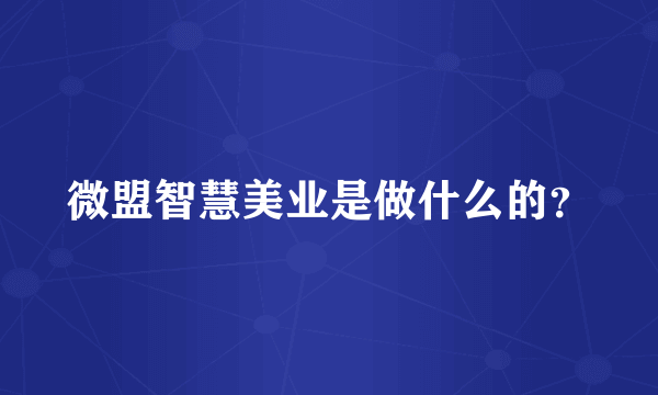 微盟智慧美业是做什么的？