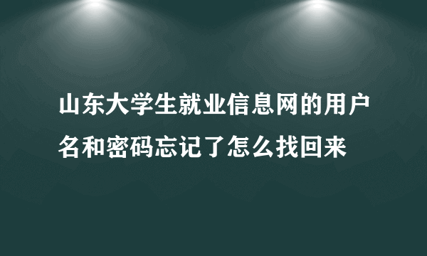 山东大学生就业信息网的用户名和密码忘记了怎么找回来