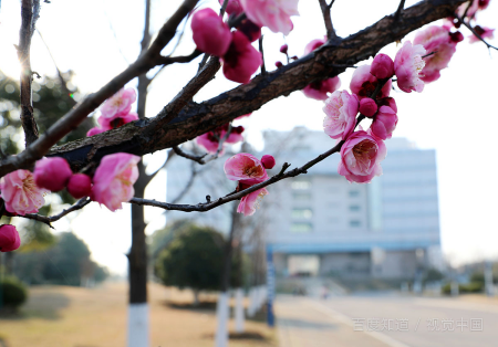 安徽财经大学代码是什么？