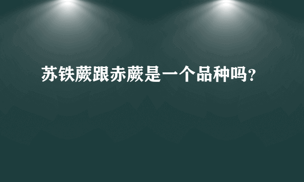 苏铁蕨跟赤蕨是一个品种吗？