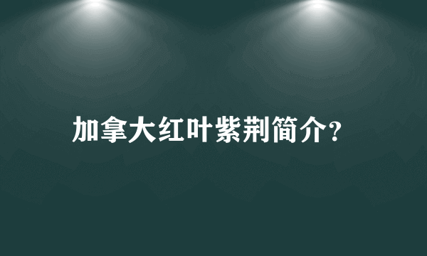 加拿大红叶紫荆简介？