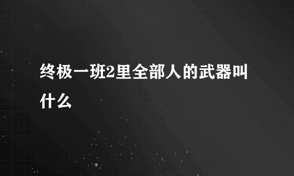 终极一班2里全部人的武器叫什么